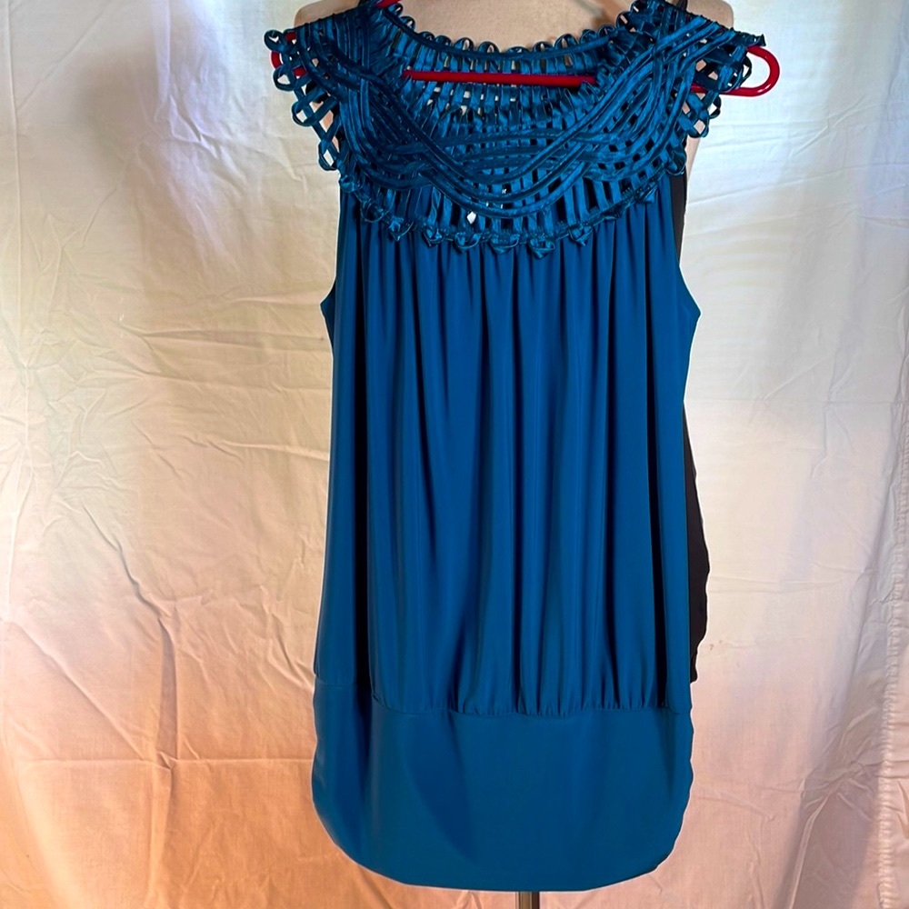 Beautiful Tunic NWOT by Perseption Concepts.